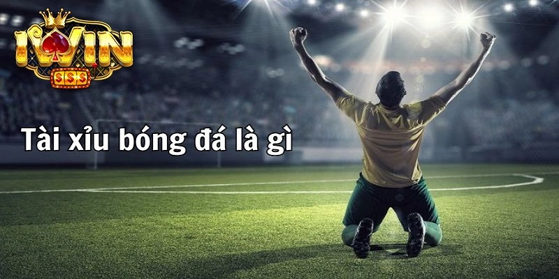 Khái Niệm Cơ Bản Về Tài Xỉu Bóng Đá